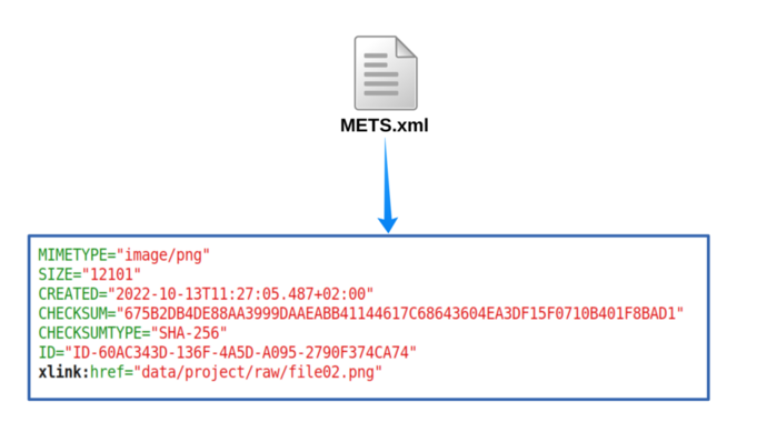 Information Packages structure