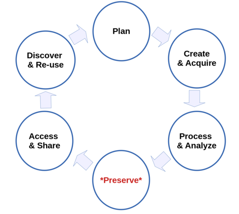 data-lifecycle